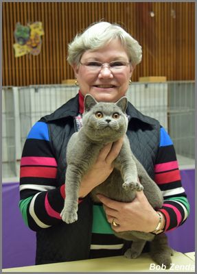 Kitties Land D'Coat of Chelsearose